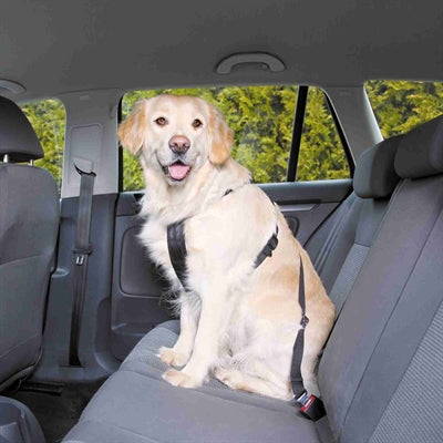 Trixie harnais pour chien voiture avec ceinture noir