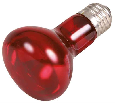 Lampe chauffante infrarouge Trixie Reptiland