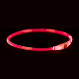 Trixie collier lumineux lampe flash USB rechargeable TPU rouge