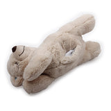 AFP Petit-Buddy Warm Bear