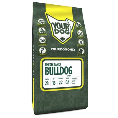 Yourdog amerikanesch Bulldog Welpen