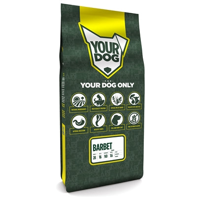 YourDog Barbet Welpe