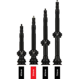 Trivio - valve tubeless noire fvt
