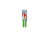 Victorinox couteau à tomates dentelé 2 pcs vert