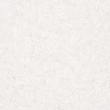 Fond d'écran noordwand vintage de luxe de luxe crackle beige et blanc