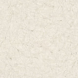Fond d'écran de Noordwand vintage de luxe de luxe gris et blanc