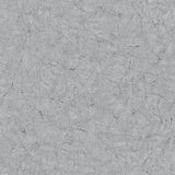 Noordwand Noordwand tapeta Vintage Deluxe Stucco Crackle Metallic Grey