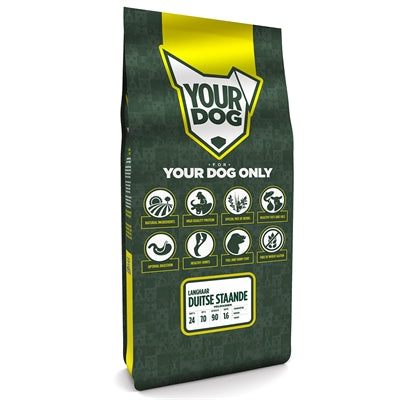 Yourdog allemand debout les cheveux longs matures