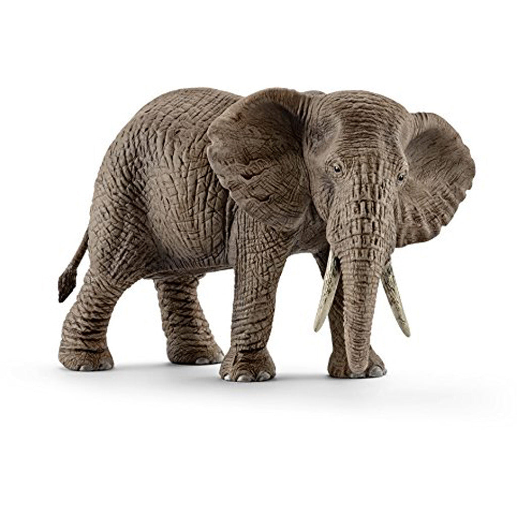 Schleich African Elephant femme
