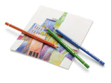 Faber Castell FC-110012 Crayon de couleur Polychromos, épaisseur de noyau de 3,8 mm, étui de 12 pièces