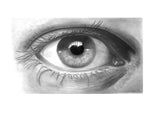Faber castell fc-114000 ensemble graphite faber-castell goldfaber 8 pièces