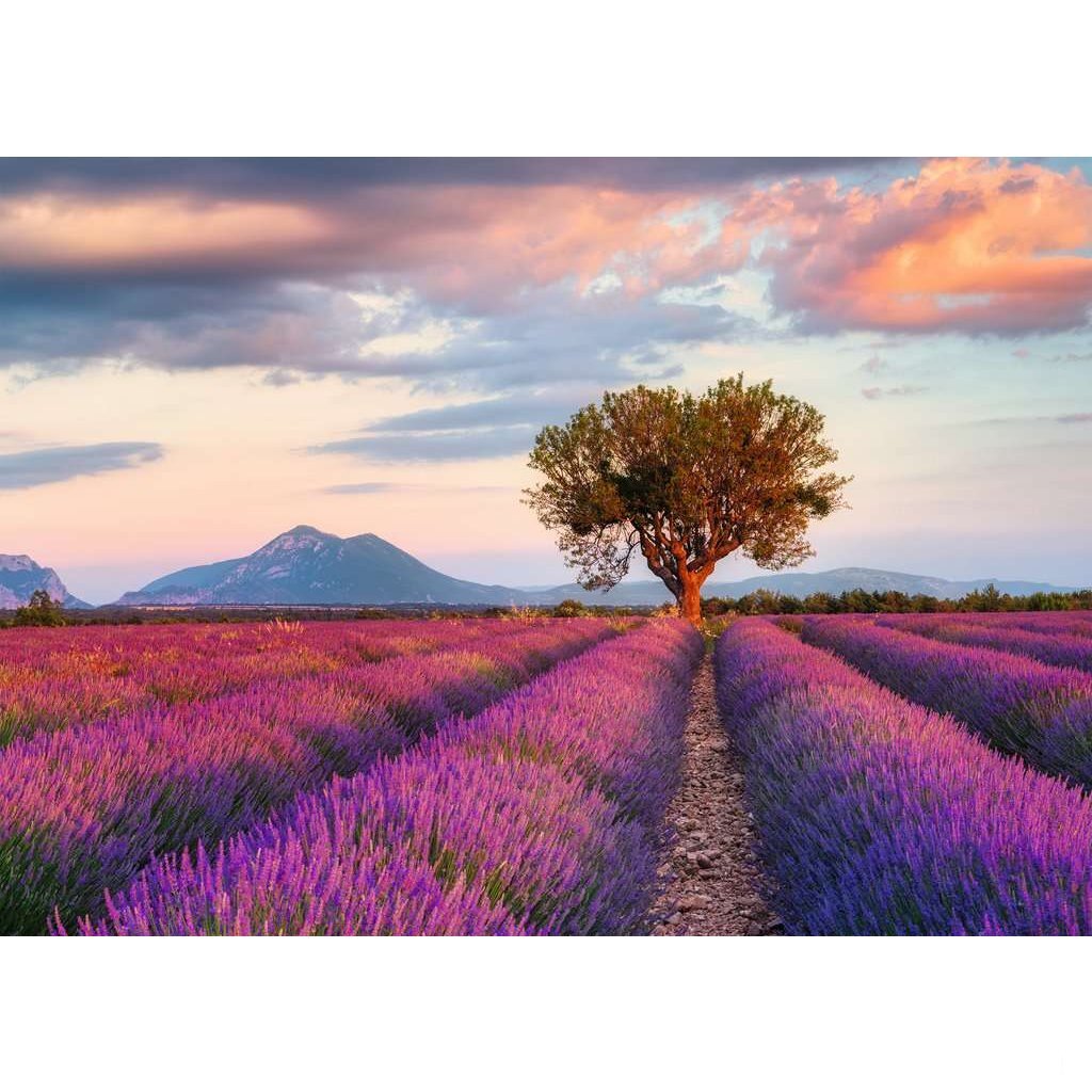 Ravensburger Puzzle Lavender Fields 1000 pièces