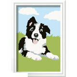 Ravensburger Creart malování na čísle Border Collie