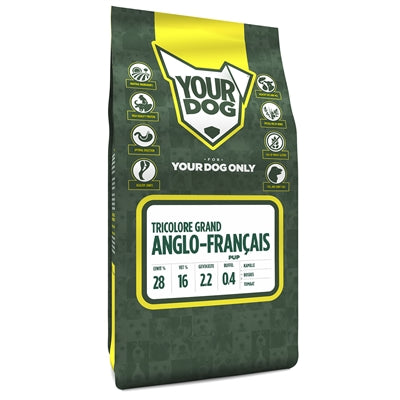 Yourdog Grand Anglo-Ran�ais Trikolore Pup