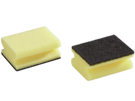 Leifheit 40017 éponge extra forte 2 pièces