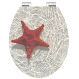 Schütte Schütte toilet seat with soft-close Red Starfish MDF high gloss