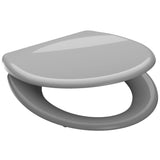 Schütte Schütte toilet seat with soft-close Quick-release gray duroplast