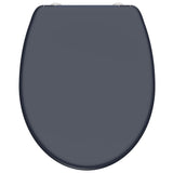 Schütte Schütte toilet seat with soft-close Quick-release Anthrazit Duroplast