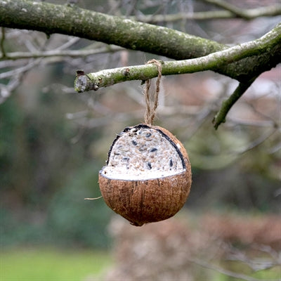 Meglio per gli uccelli di cocco pieno di grasso