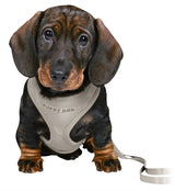 Trixie Junior Puppy Economies weich mit Riem hellgrau