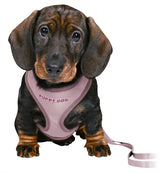 Trixie harnais pour chiot junior doux avec laisse lilas