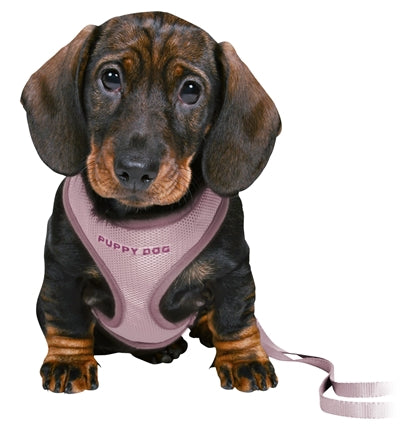 Trixie harnais pour chiot junior doux avec laisse lilas