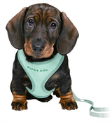 Trixie Junior Puppy Economies weich mit Riem Mintgroen