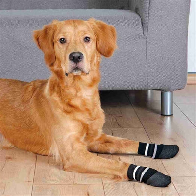 Trixie chaussettes antidérapantes pour chien avec couche de caoutchouc tout autour, noires