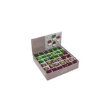 Ootb aimant plante succulente en pot 3x5cm
