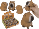 DSP presse capybara. 12 pièces en dsp.