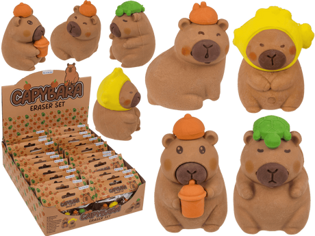 Gommes Dsp capybara. 4 essieux 24 pièces en