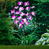 Salut Hallo Gaart Lampe Orchid Solared Oder 75 cm