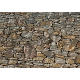 Komar Photo Fond d'écran mur de pierre 368x254 cm 8-727