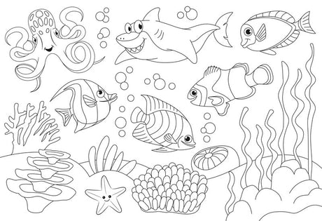 Van der Doelen notes d'information in-8719-08 livre de coloriage 300 mm x 200 mm livre de coloriage