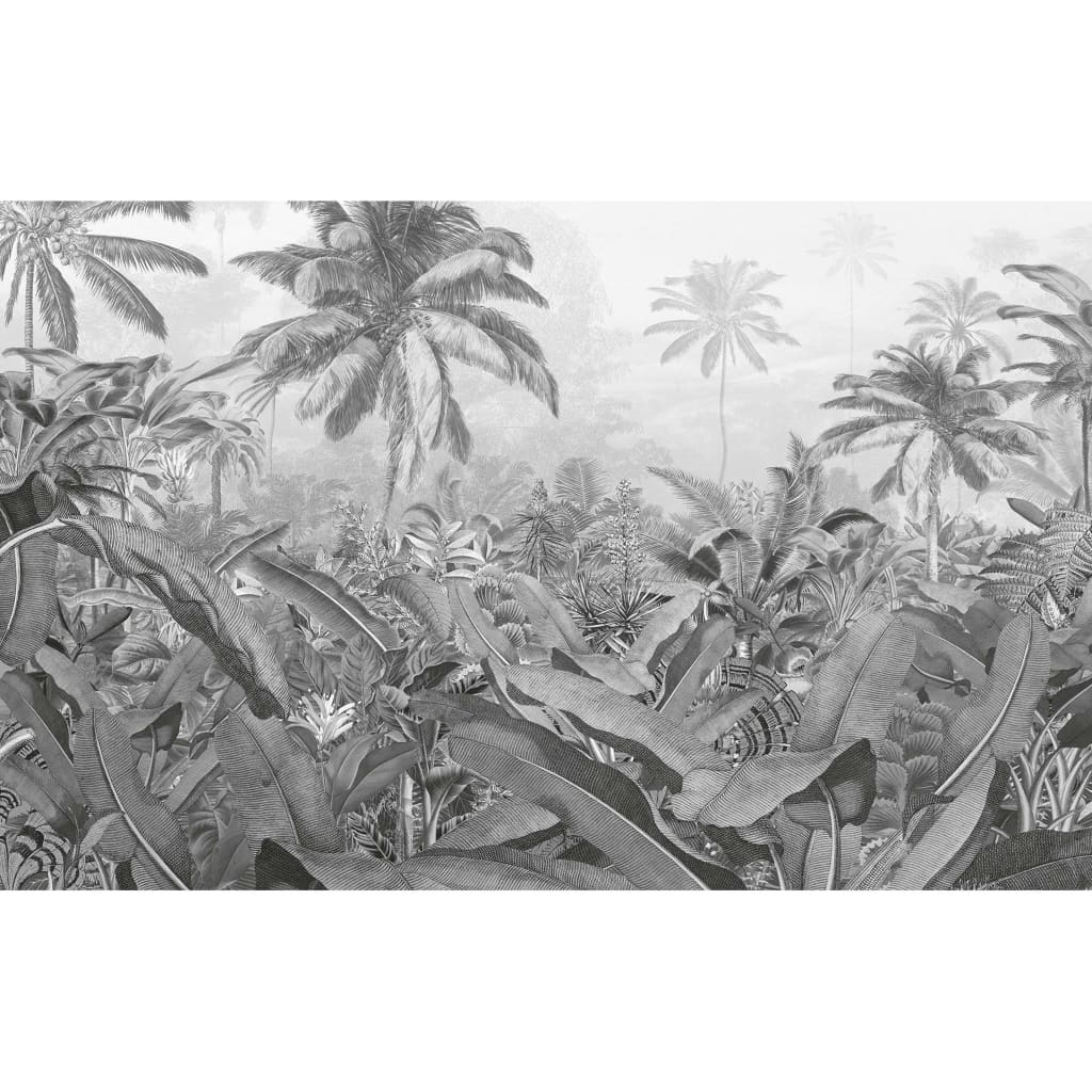 Komar komar foto ozadje Amazonia črno -bela 400x250 cm