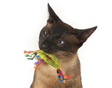 Catnip Dental Health mâcher