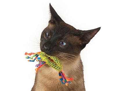Catnip Dental Health mâcher