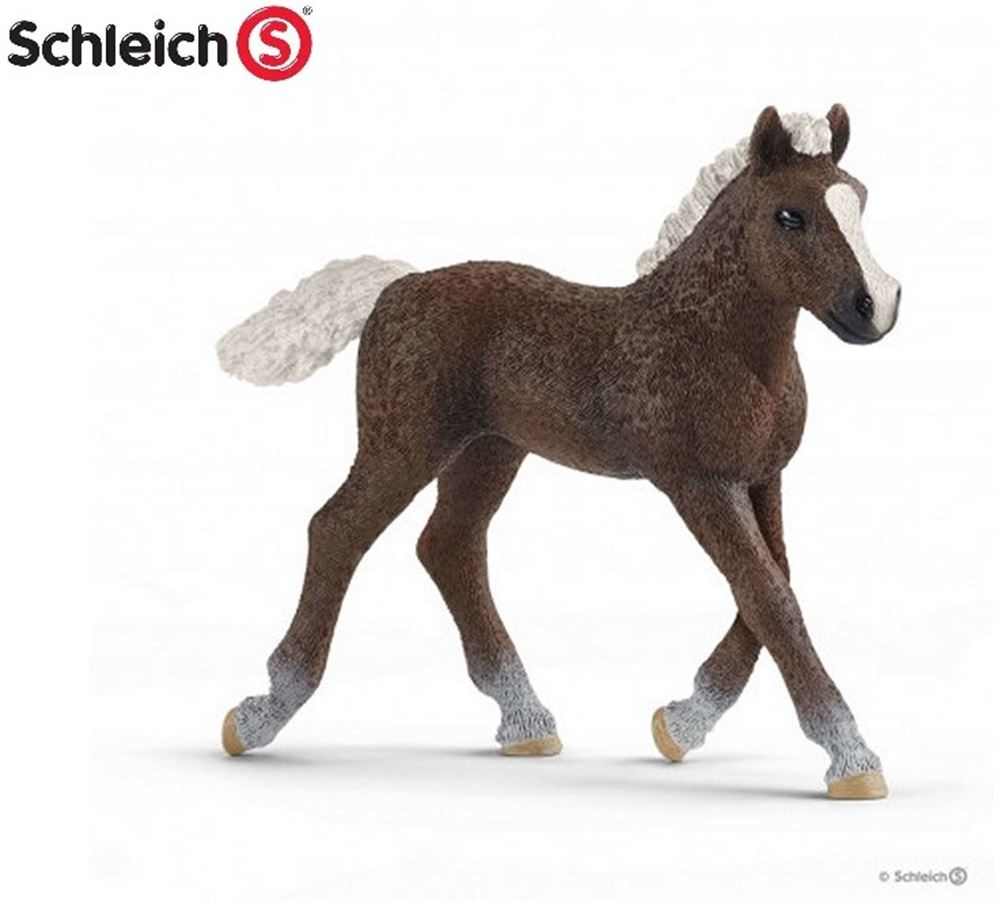Schleich Horse Club Poulain Forêt-Noire 17077