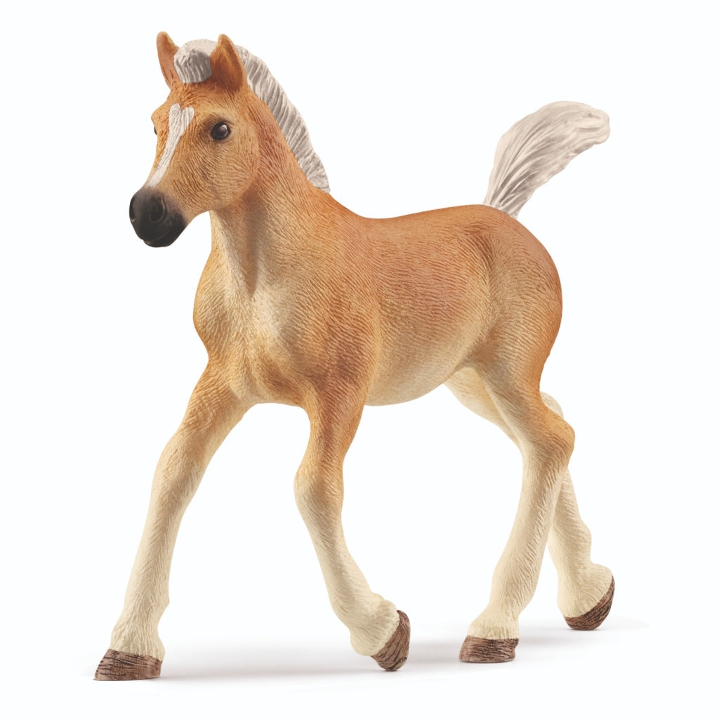 Club hippique Schleich - Poulain Haflinger - 13951