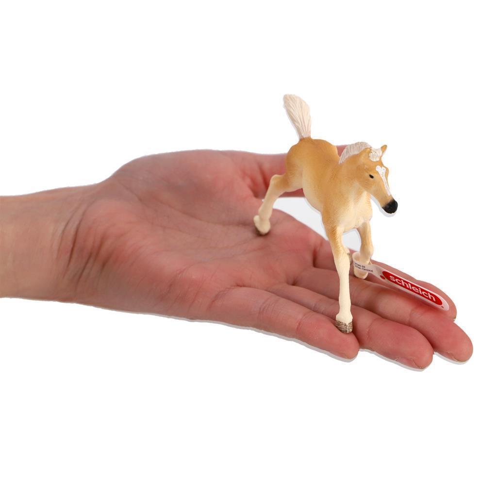 Club hippique Schleich - Poulain Haflinger - 13951