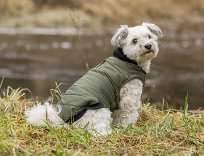 Veste de chien trixie arlay vert foncé