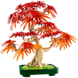 Lego botanicals Bonsaï érable japonais - 10348