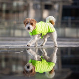 Croci Hond Mantel gepolsterten Eco Blieder verzweifelt giel