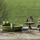 Nejlepší pro ptáky Bird Bath kolem keramiky zelené