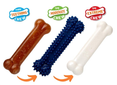 Nylabone chiot mâchonnez le kit de démarrage de chiot poulet