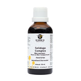 Cat complexe Green Os Solidago