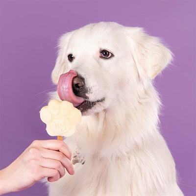 Mélange de glace smoofl smoofl pour la banane de chiens