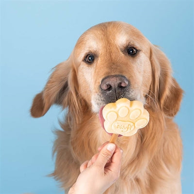 Mélange de glace smoofl pour le beurre d'arachide pour chiens
