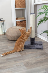 Trixie Scratching Post Bate Platinum Grey