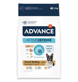 Advance adulte bulldog français